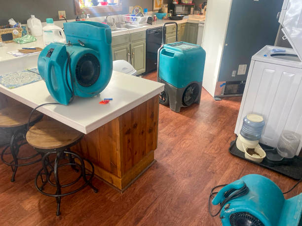 Best 24/7 water damage repair  in Kimberling City, MO