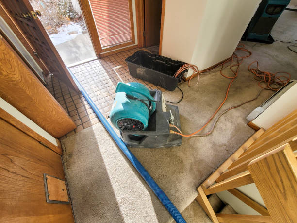 Best 24/7 water damage repair  in Kimberling City, MO