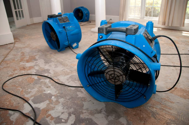 Best Flood damage cleanup  in Kimberling City, MO