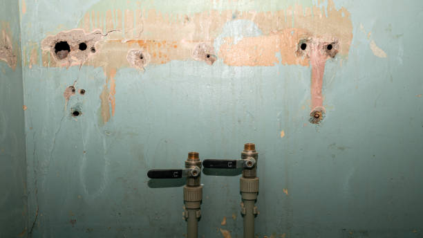 Best Water damage restoration near me  in Kimberling City, MO