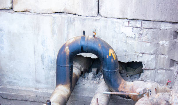 Best Professional water damage repair  in Kimberling City, MO