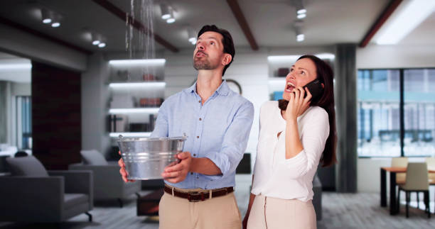 Best Commercial water damage restoration  in Kimberling City, MO